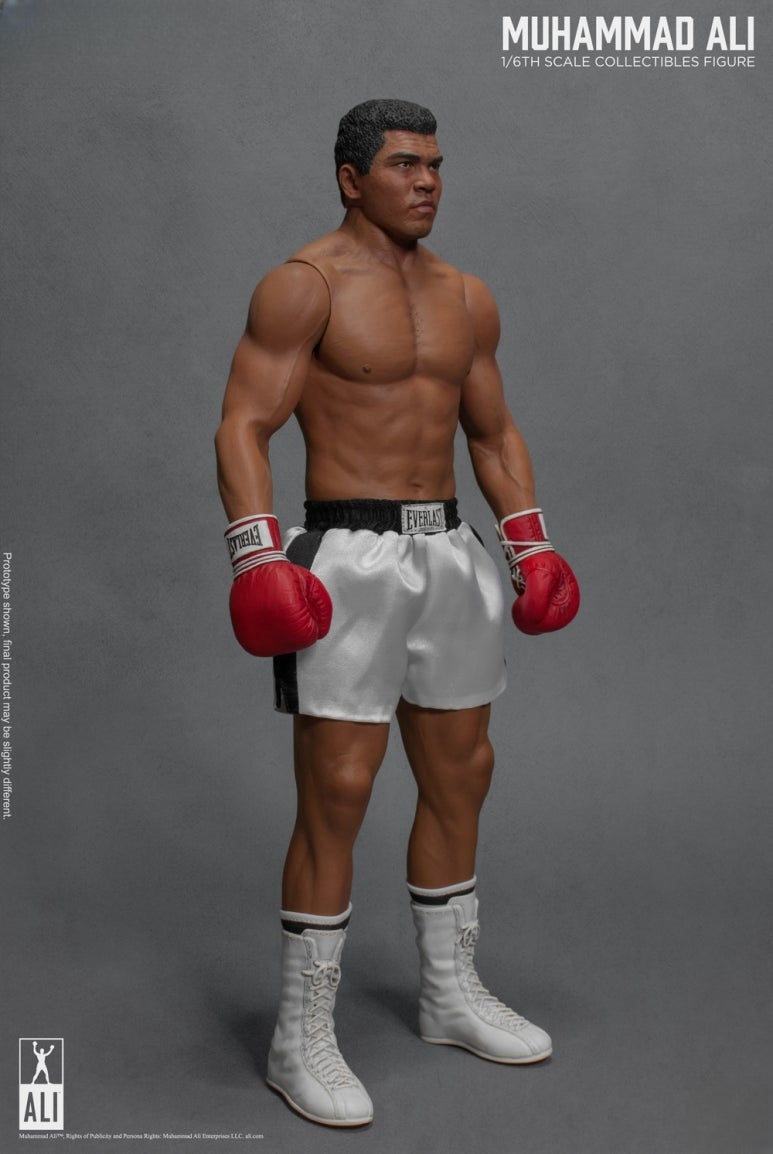 Figura de acción del gran boxeador 