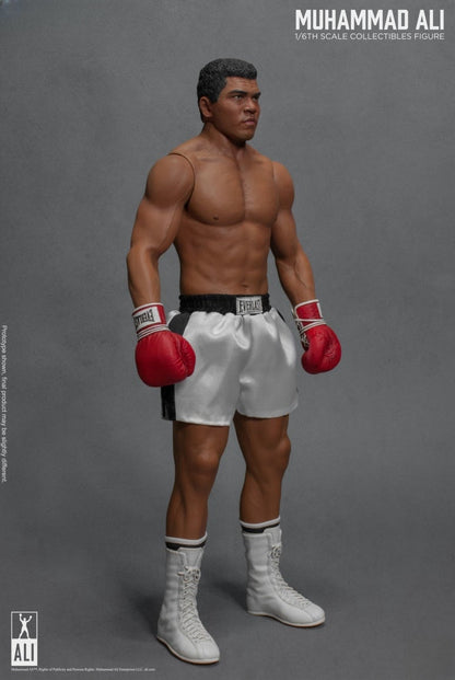 Figura de acción del gran boxeador 