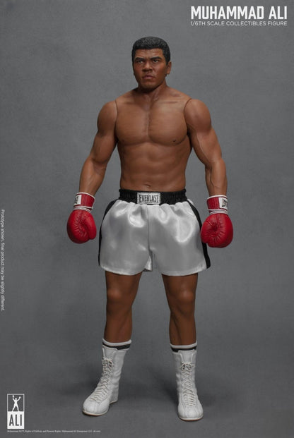 Figura de acción del gran boxeador 