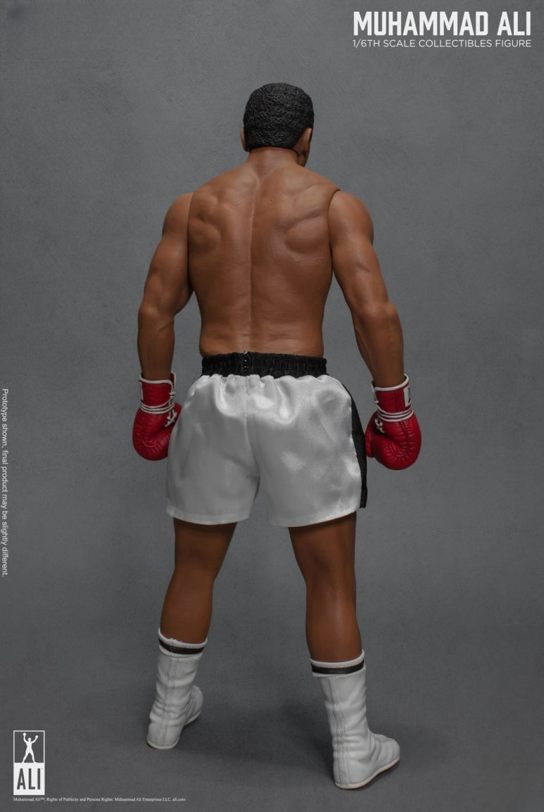 Figura de acción del gran boxeador 