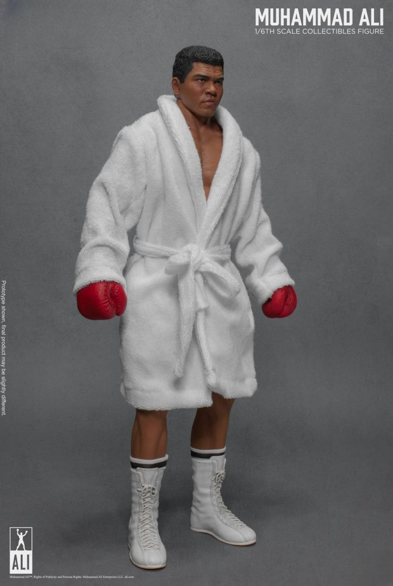 Figura de acción del gran boxeador 