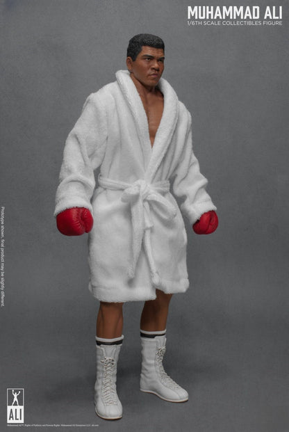 Figura de acción del gran boxeador 