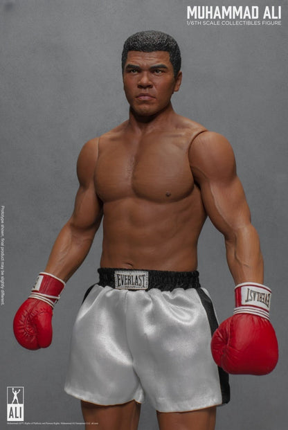 Figura de acción del gran boxeador 