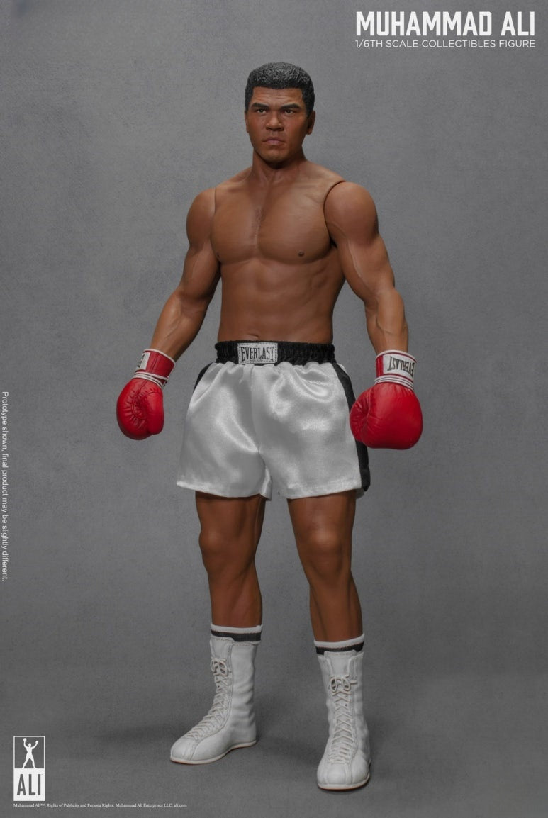 Figura de acción del gran boxeador 