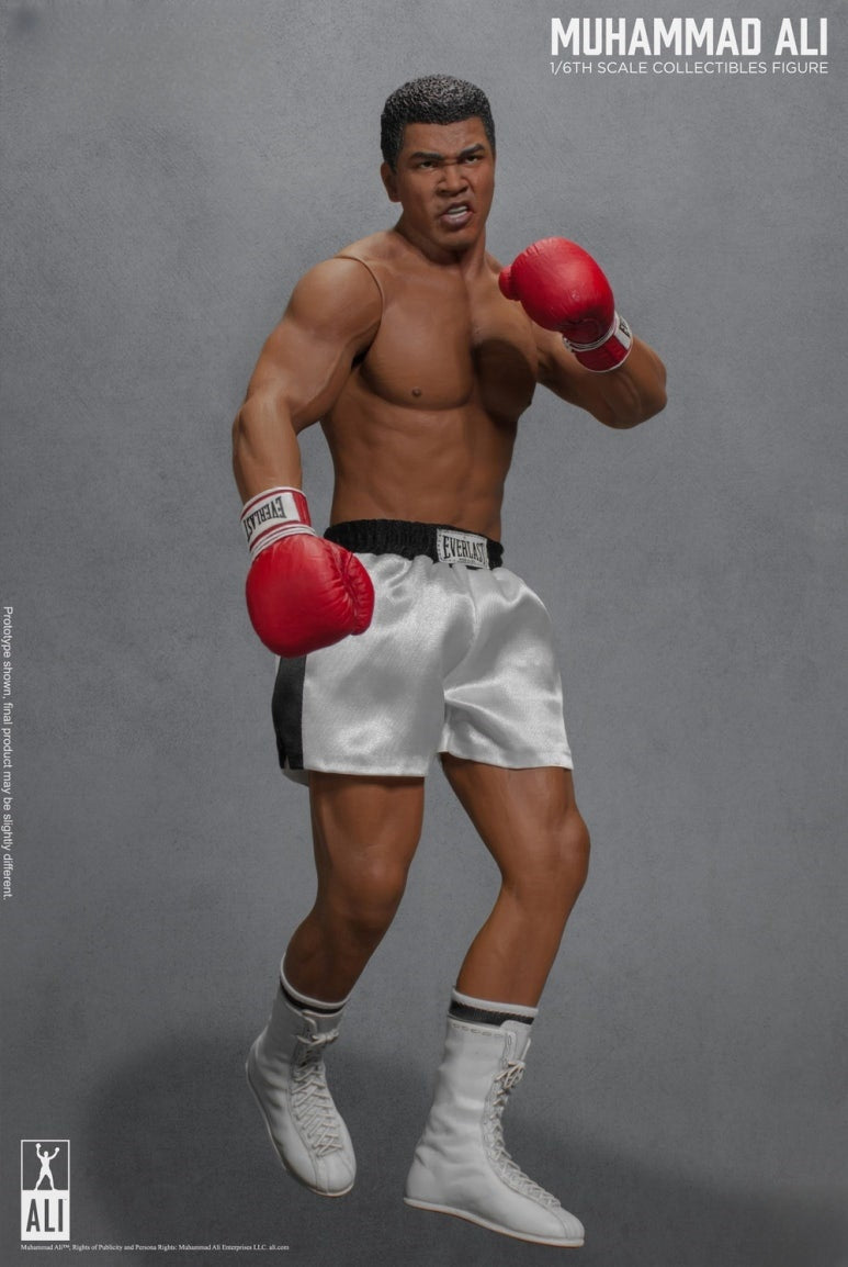 Figura de acción del gran boxeador 