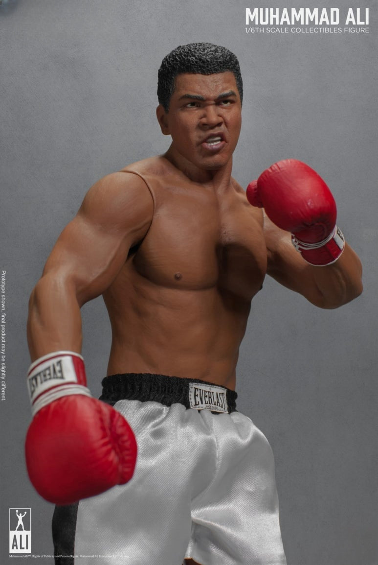 Figura de acción del gran boxeador 