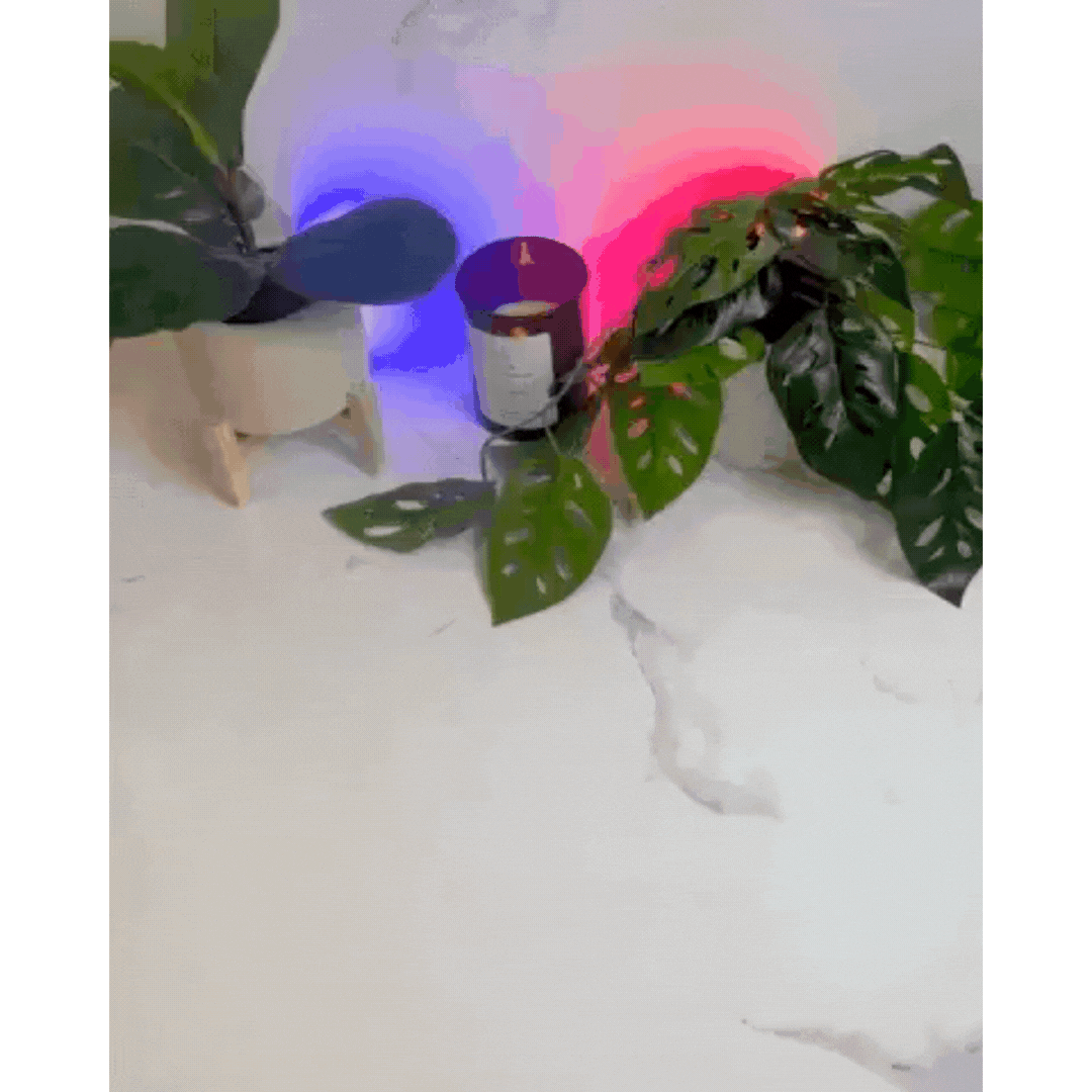 Eliminador de humo PureAir