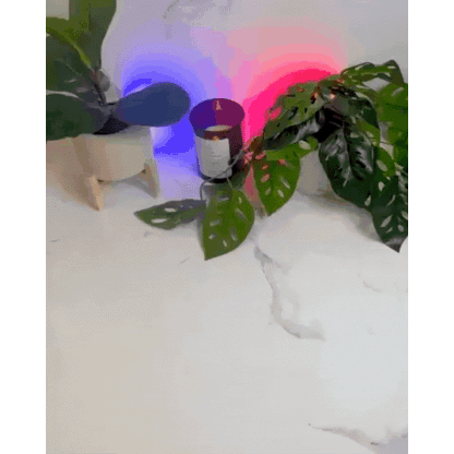 Eliminador de humo PureAir