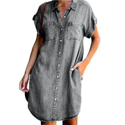 The Rodeo Denim Dress