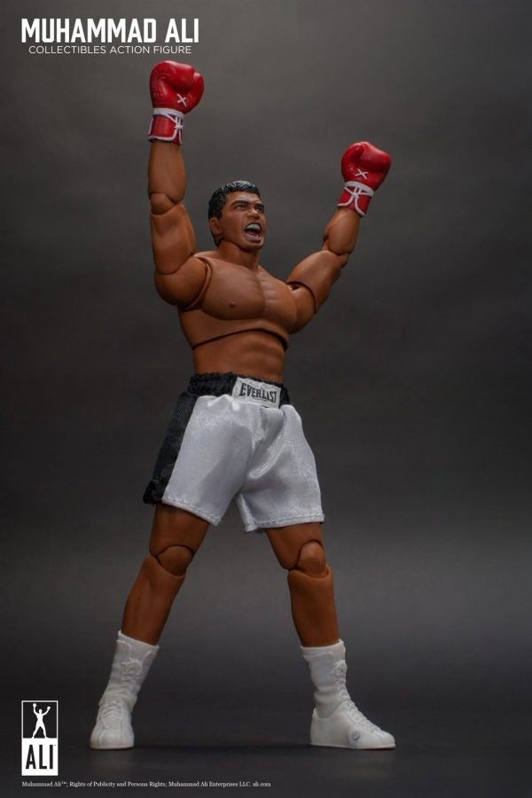 Figura de acción del gran boxeador 